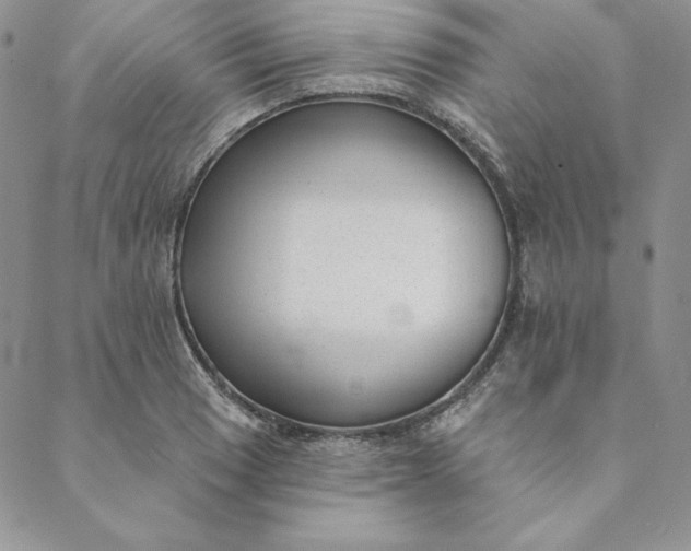 X0000088611033200706081429