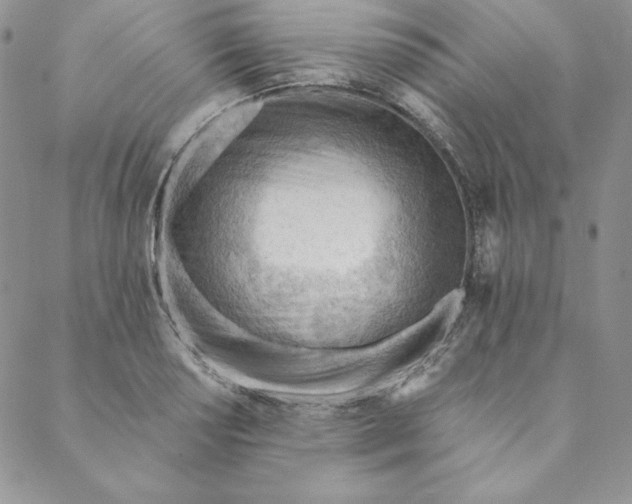 X0000088611034200706081429