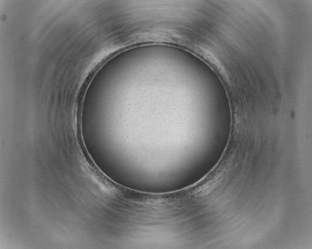 X0000088611035200706081429