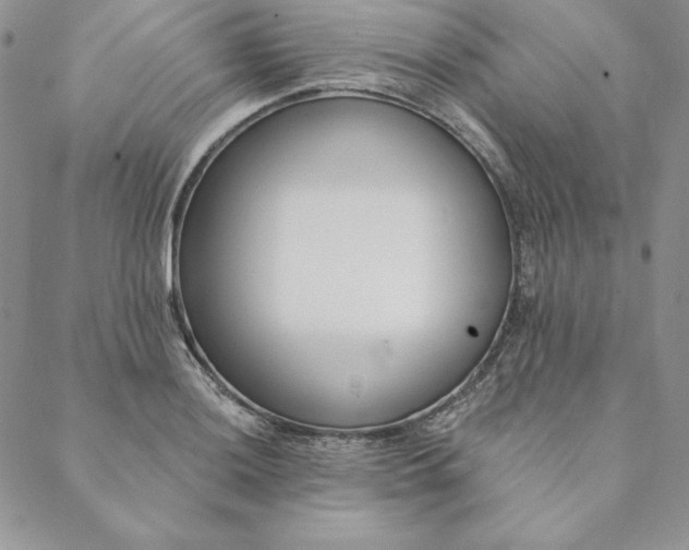 X0000088611036200706081429