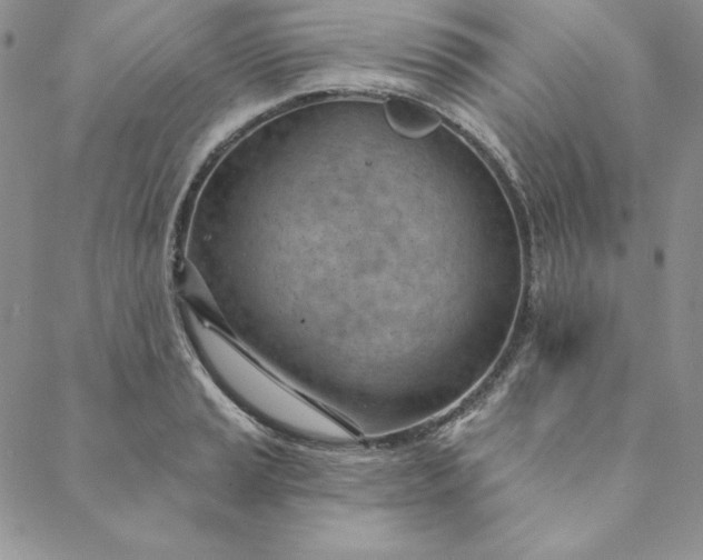 X0000088611037200706081429