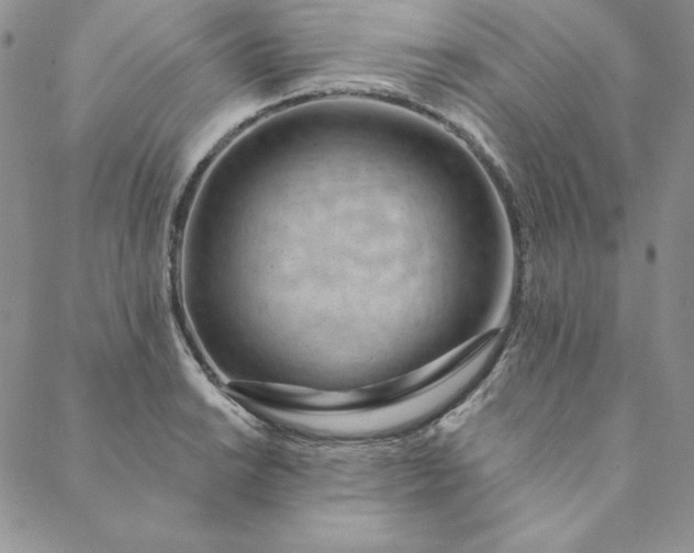 X0000088611038200706081429