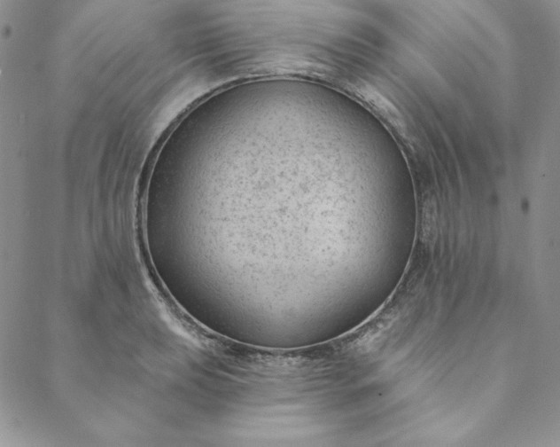 X0000088611039200706081429