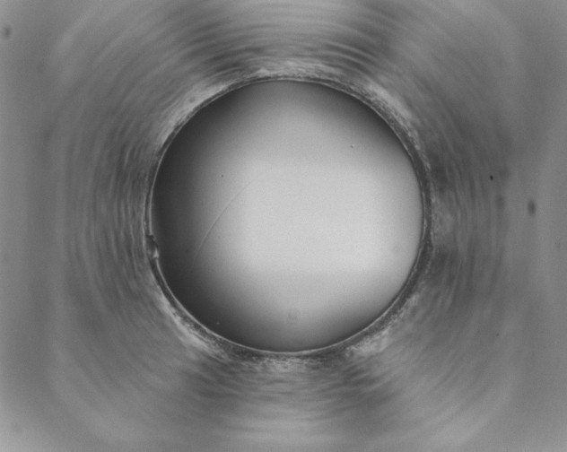 X0000088611041200706081429