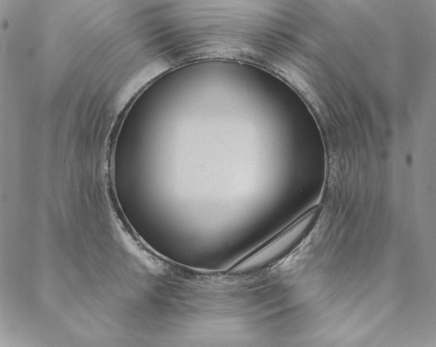 X0000088611042200706081429