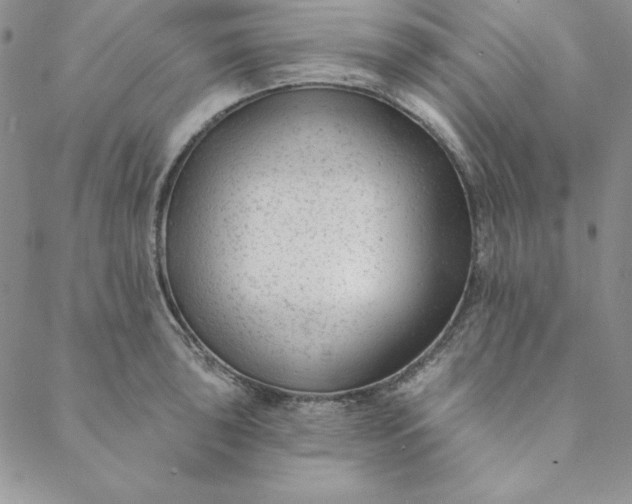 X0000088611043200706081429