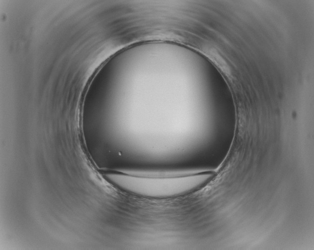 X0000088611044200706081429