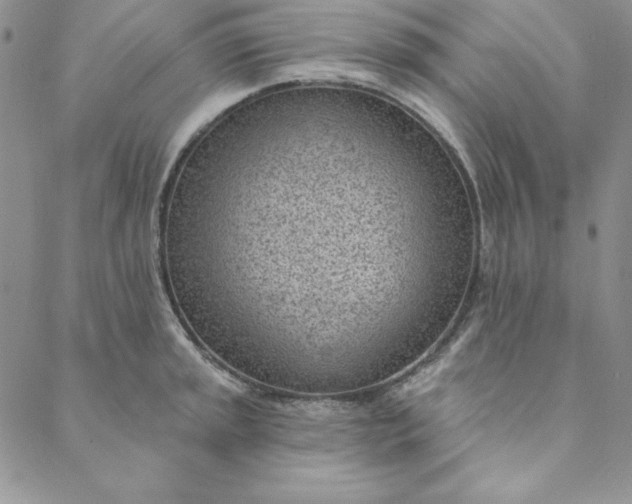 X0000088611045200706081429