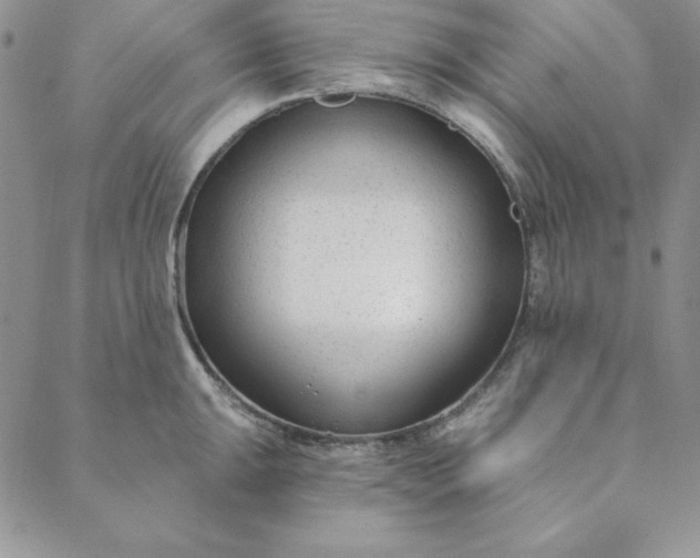 X0000088611047200706081429