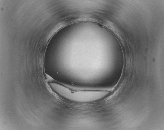 X0000088611049200706081429