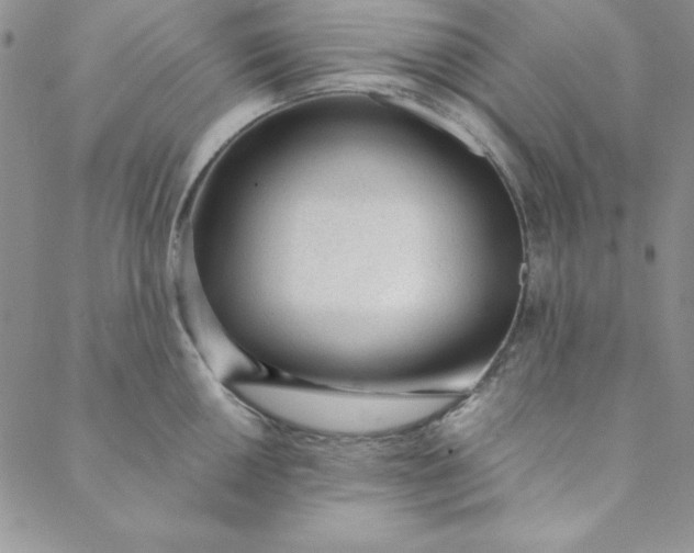 X0000088611050200706081429