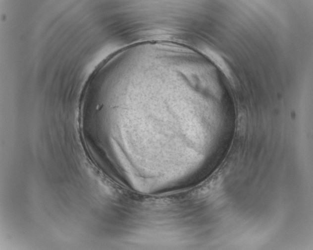 X0000088611051200706081429