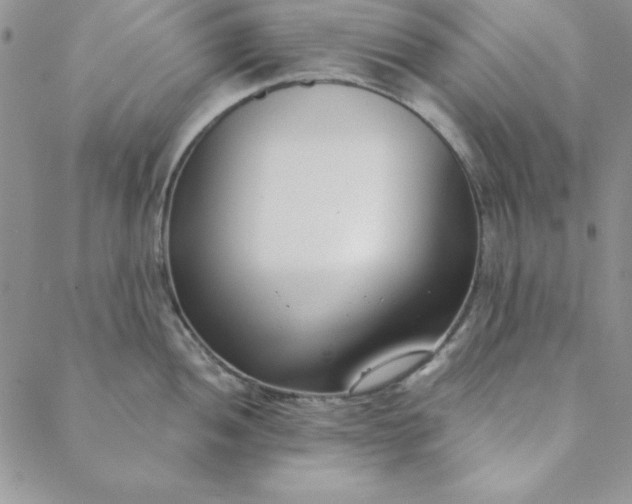 X0000088611052200706081429