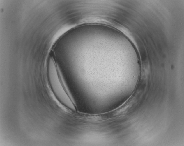 X0000088611053200706081429