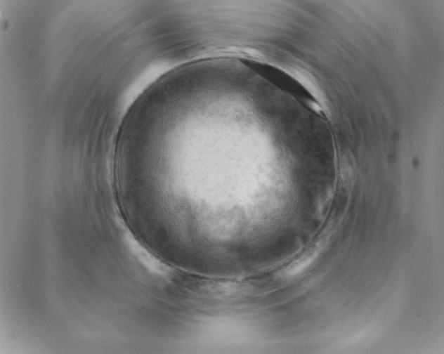 X0000088611054200706081429