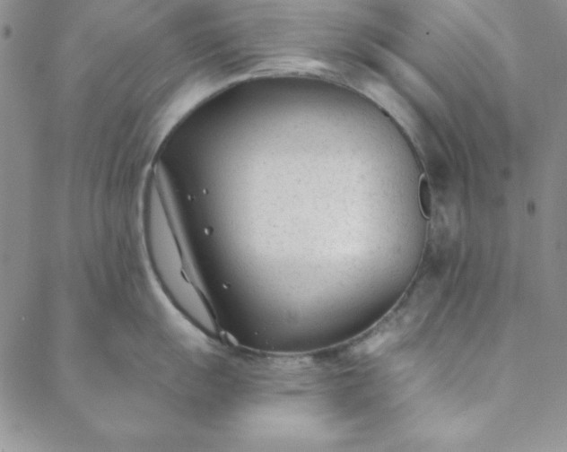 X0000088611055200706081429