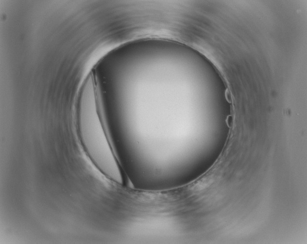 X0000088611056200706081429