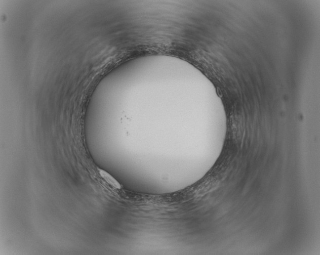 X0000088611057200706081429