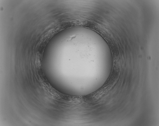 X0000088611058200706081429