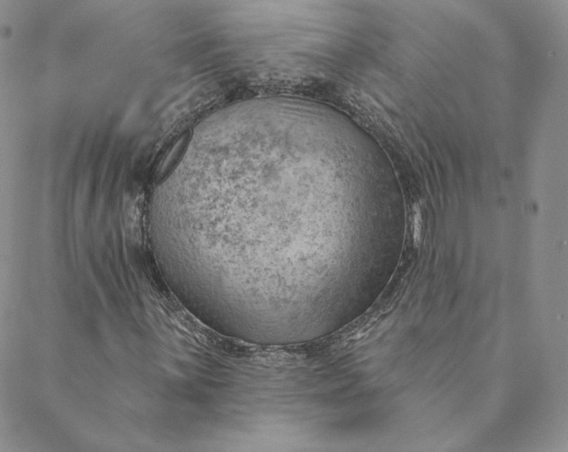 X0000088611059200706081429