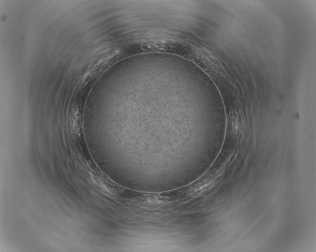 X0000088611060200706081428