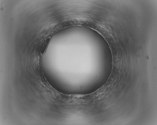 X0000088611061200706081428