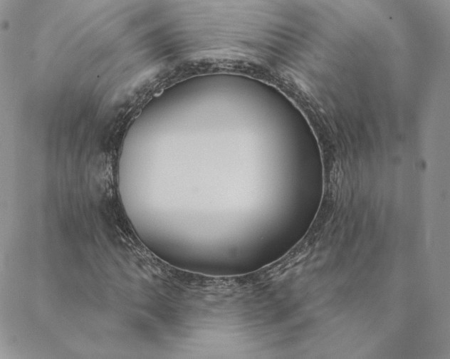 X0000088611062200706081428