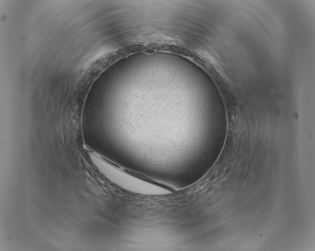 X0000088611063200706081428