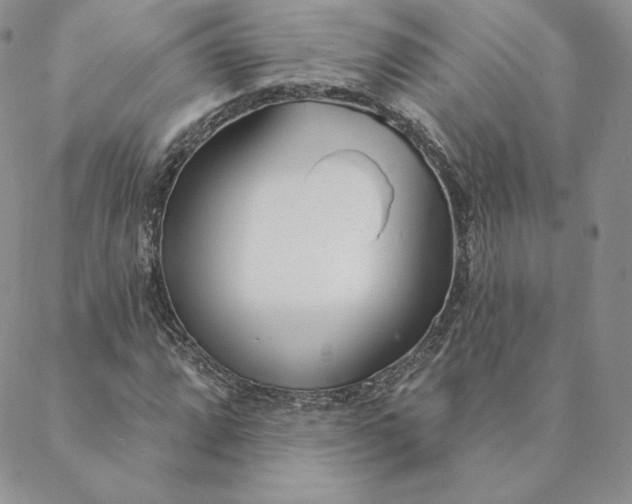 X0000088611064200706081428