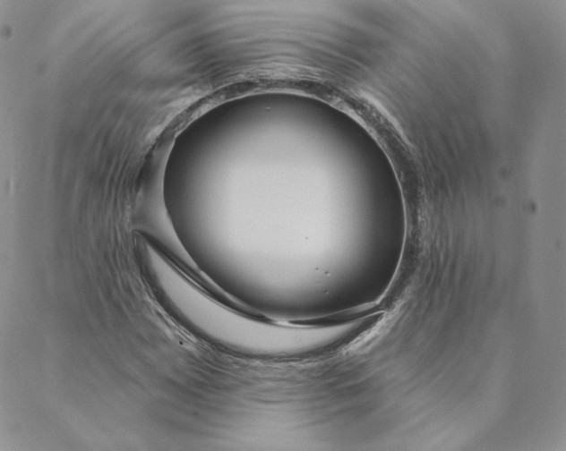 X0000088611065200706081428