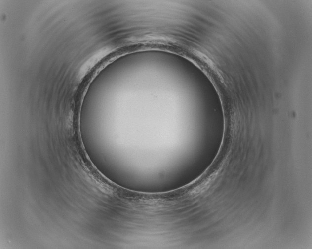 X0000088611066200706081428