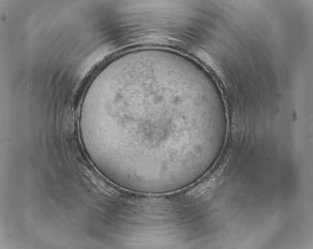 X0000088611067200706081428