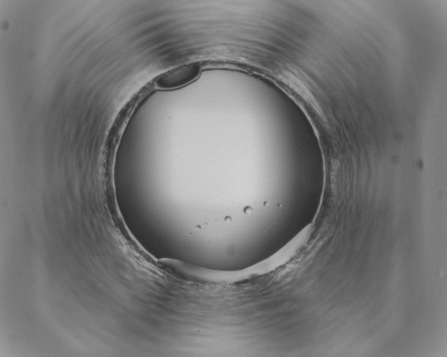 X0000088611068200706081428