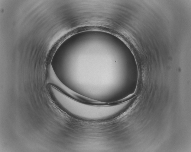 X0000088611069200706081428