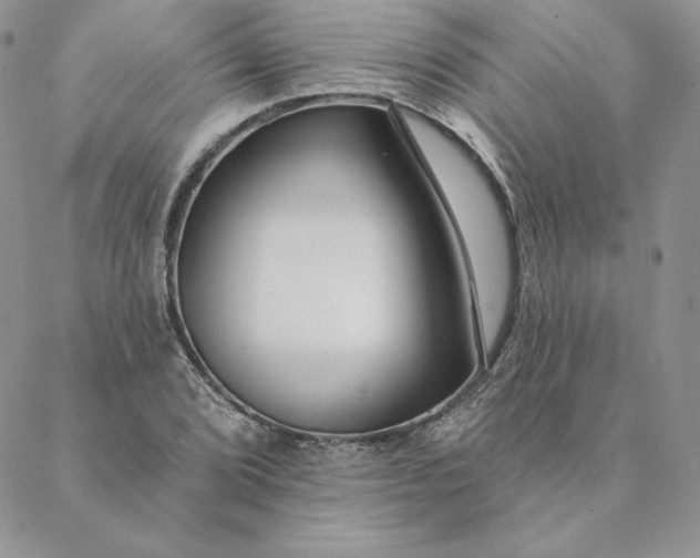 X0000088611072200706081428