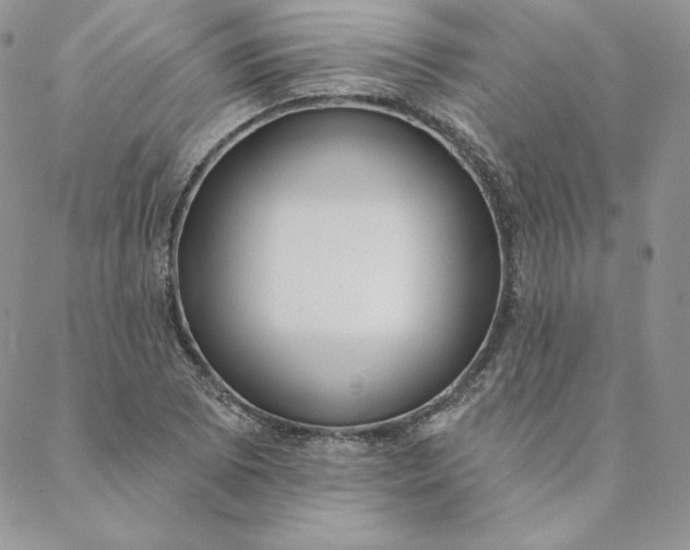 X0000088611073200706081428