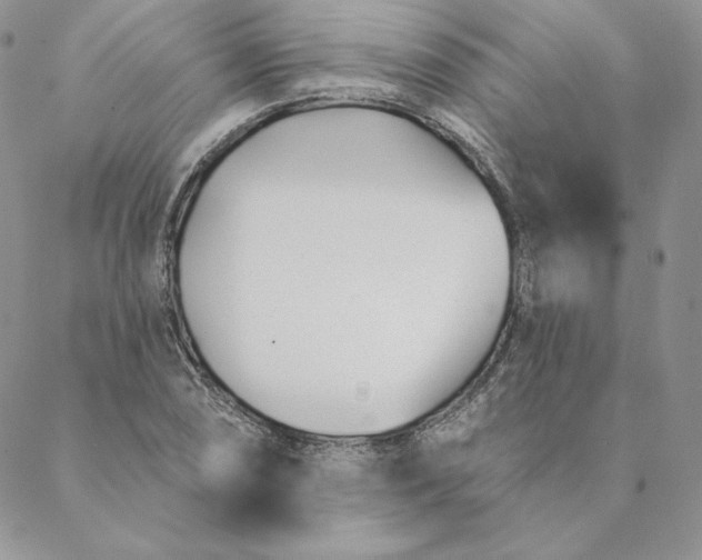 X0000088611074200706081428