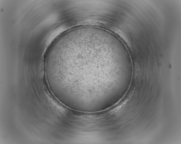 X0000088611075200706081428