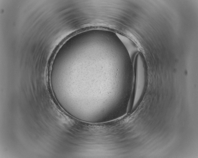 X0000088611076200706081428