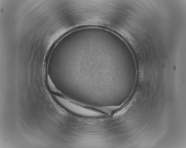 X0000088611077200706081428