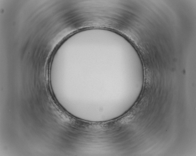 X0000088611078200706081428