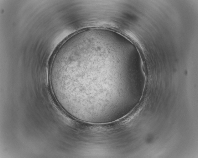 X0000088611079200706081428