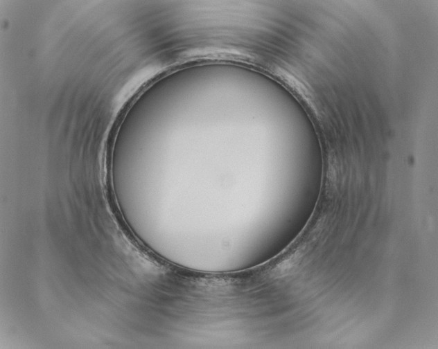 X0000088611082200706081428