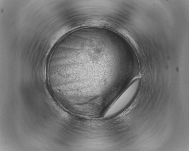 X0000088611083200706081428