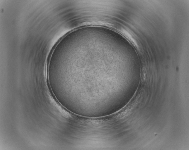 X0000088611084200706081428