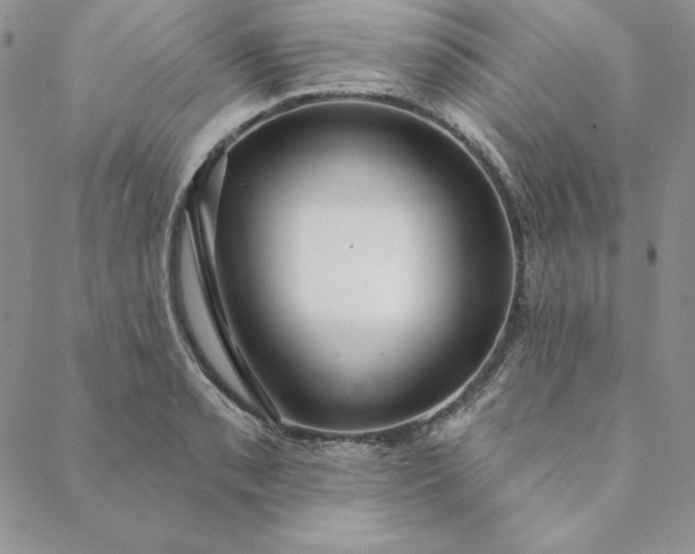 X0000088611085200706081428