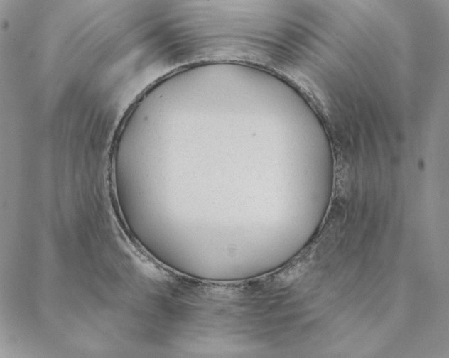 X0000088611086200706081428