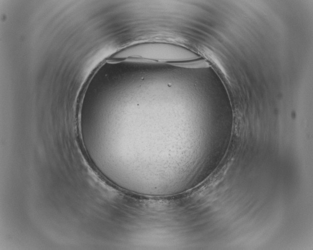 X0000088611087200706081428