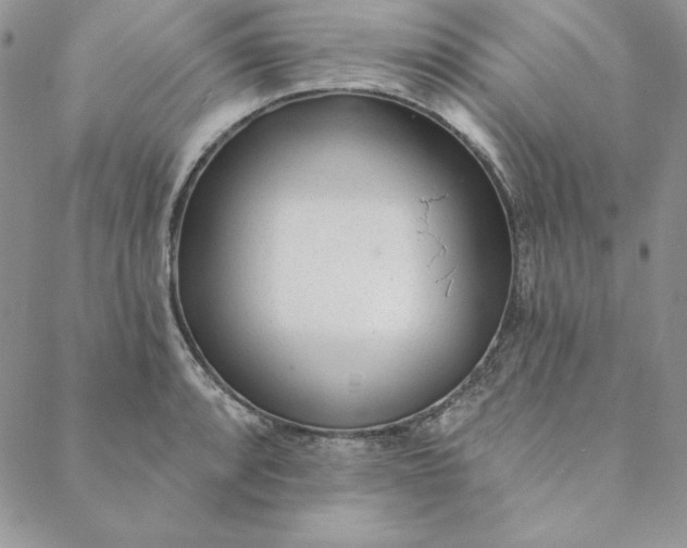 X0000088611088200706081428