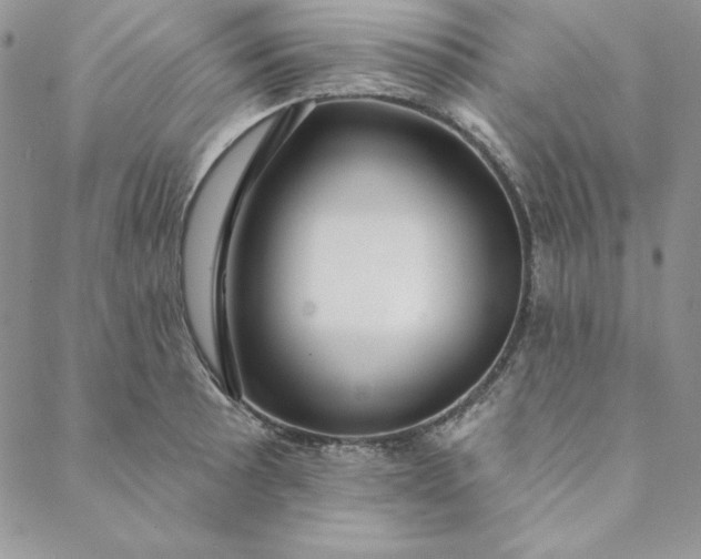 X0000088611089200706081428